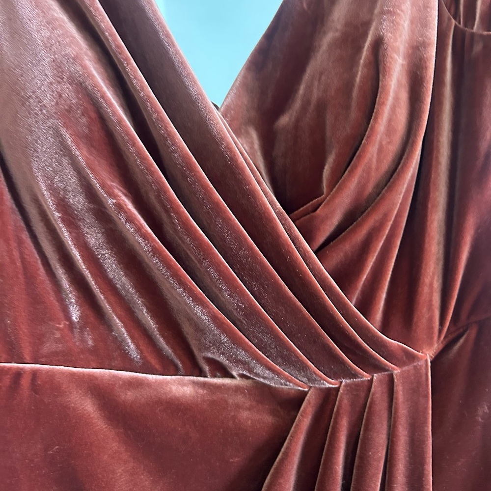 Revelry Gwen Velvet Dress In Terracotta. size 16 - Picture 4 of 7